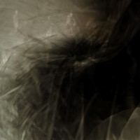 /album/vizie-2011/vizie-iiiver2-jpg/